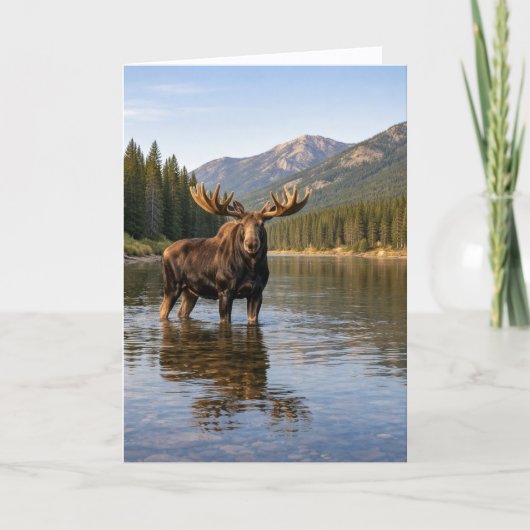 Carte Faune sauvage Rivière Moose Mountain (Devant)