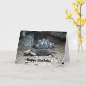 Carte Faune Tortoise Reptile Photo Anniversaire (Fleur jaune)