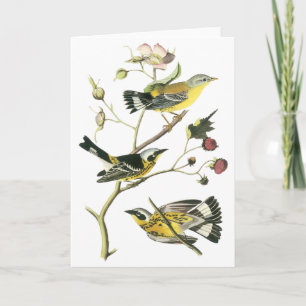 Carte Fauvette de magnolia, John Audubon