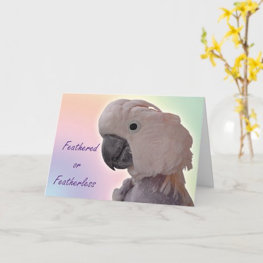 Carte Featherless (Fleur jaune)