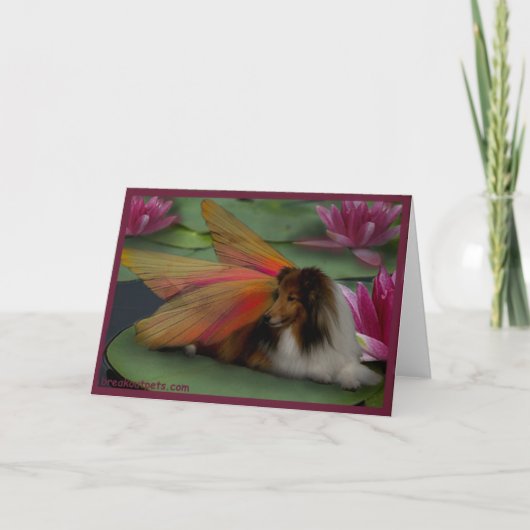 Carte Fée de Sheltie sur une protection de lis. psd de (Devant)