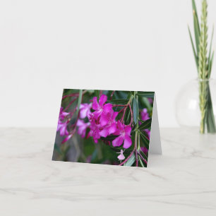 Carte Fée rose d'ombre d'oléandre