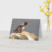 Carte Feelin' Ducky (Fleur jaune)