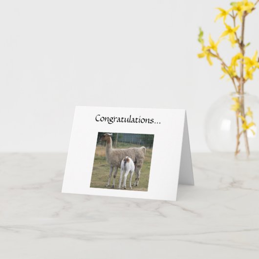 Carte Félicitations... (Fleur jaune)