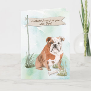 Carte Félicitations à Bulldog en anglais pour le nouveau