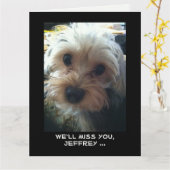 Carte Félicitations à JUMBO pour la retraite de tous les (Fleur jaune)