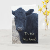 Carte Félicitations à la ferme du ranch des vaches (Fleur jaune)