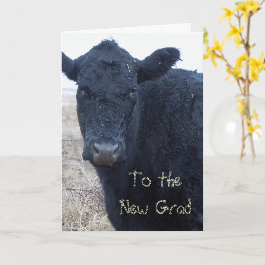 Carte Félicitations à la ferme du ranch des vaches (Fleur jaune)