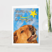 Félicitations à la technologie vétérinaire Golden 