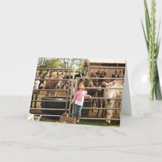 Carte Félicitations à tous pour le diplôme DVM Graduate (Devant)