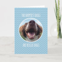Félicitations, adoptant le chien de délivrance,