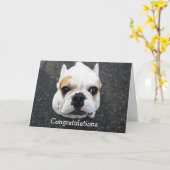 Carte Félicitations Bulldog Greeting Card (Fleur jaune)