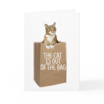 FÉLICITATIONS (Chats Sortis Du Sac)