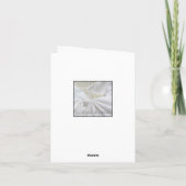 Carte Félicitations de Mariages espagnols (Dos)