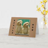 CARTE ***FÉLICITATIONS*** DES PUPS COOL (Fleur jaune)