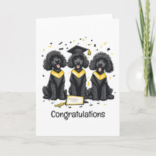 Carte Félicitations Diplôme Standard Poodle Dogs