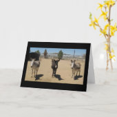 Carte Félicitations Diplômé vétérinaire - Ferme de ranch (Fleur jaune)