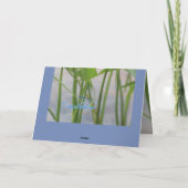 Carte Félicitations Dragonfly (Dos)
