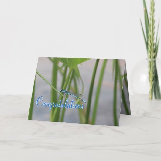 Carte Félicitations Dragonfly (Devant)