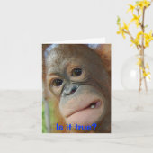 Carte Félicitations drôles d'obtention du diplôme de (Fleur jaune)