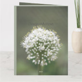 Carte Félicitations Élégantes (Dos)