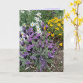 Carte Félicitations florales de lavande violette et de f (Fleur jaune)