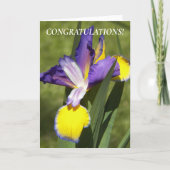Carte Félicitations florales Iris violet et jaune (Devant)