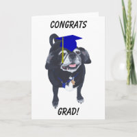 Félicitations Grand Carlin Chien Bleu Casquette et