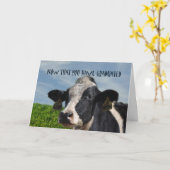 Carte Félicitations humoristiques à la vache bovine dipl (Fleur jaune)