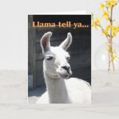 Carte Félicitations - Lama drôle (Fleur jaune)