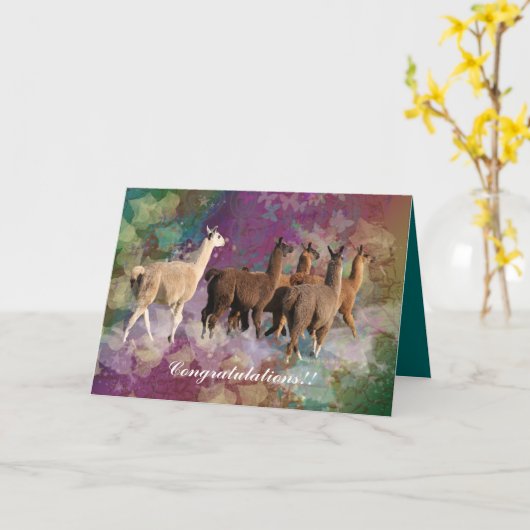 Carte Félicitations ! Lamas marchant sur des nuages (Fleur jaune)