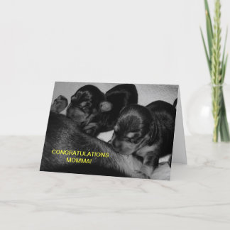 CARTE FÉLICITATIONS MOMMA !