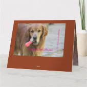 Carte Félicitations nouvelle petite fille (Dos)