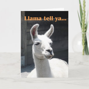 Carte Félicitations pour la Promotion - Lama