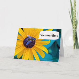 Carte Félicitations pour le concours d'orthographe gagna