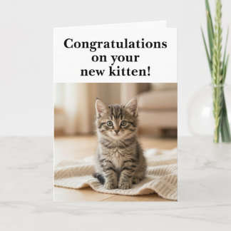 Carte Félicitations pour le nouveau chaton Doux et senti