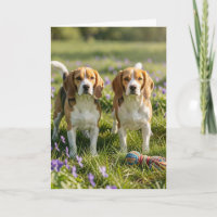 Félicitations pour vos deux nouveaux chiens ! Bien