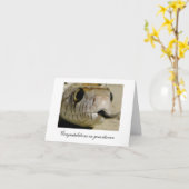 Carte Félicitations pour votre divorce ... (Fleur jaune)