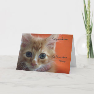 Carte Félicitations pour votre New Kitten