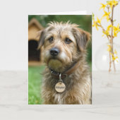 Carte Félicitations pour votre nouveau chien (Fleur jaune)