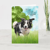 Carte Félicitations reBARKable Border Collie Chien (Devant)