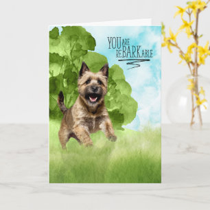 Carte Félicitations reBARKable Cairn Terrier Chien