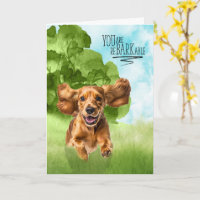 Félicitations reBARKable Chien Cocker Spaniel