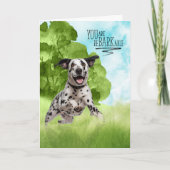 Carte Félicitations reBARKable Dalmatien (Devant)