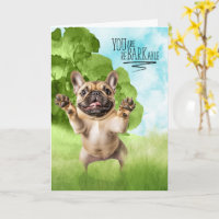 Félicitations reBARKable Tan Bouledogue Français