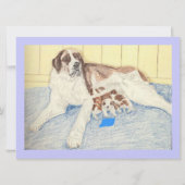 Carte Félicitations, Saint Bernard (Dos)