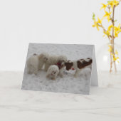 Carte Félicitations sur le nouveau travail (Fleur jaune)