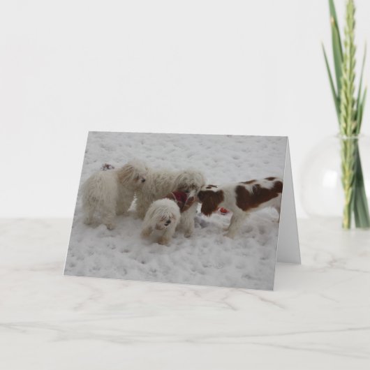 Carte Félicitations sur le nouveau travail (Devant)