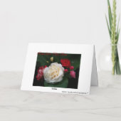 Carte Félicitations sur votre obtention du diplôme (Dos)