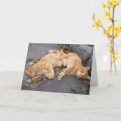 Carte Feline buddies (Fleur jaune)